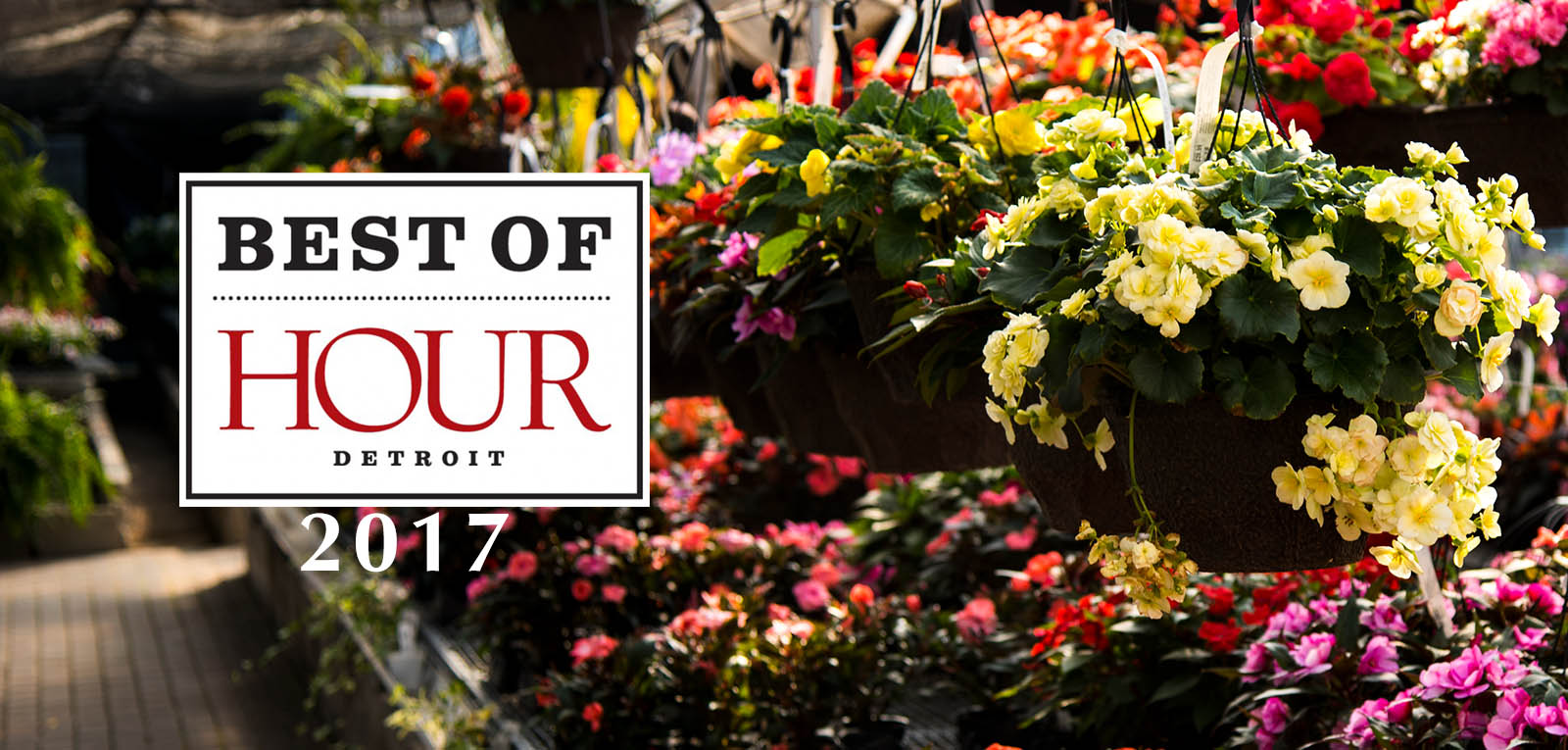 the best of hour detroit 2017 greenhouse • Telly's Greenhouse